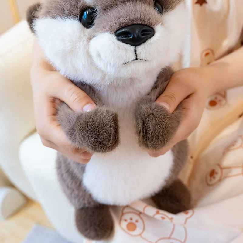 Peluche loutre douce rassurante Observatrice