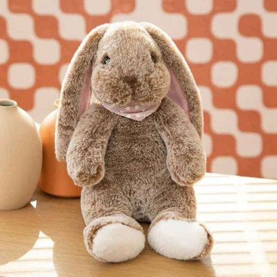 doudou lapin doux douillet Oreilles Tendresse